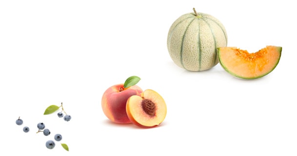 agro-fl-croissance-1 AVEC KONNECT’AGRO, LA TAILLE NE COMPTE PAS