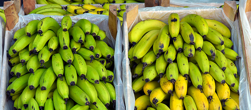 Vente en gros sur le carreau de bananes par importateur fruits.
