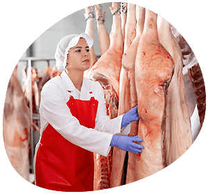 gestion des carcasses PAD