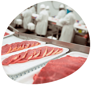 Le logiciel viandes et produits carnés gère les étapes clé du process