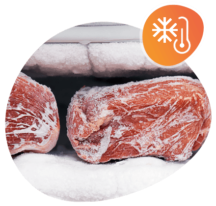agro-viande-logiciel-froid étape de surgélation de produits carnés géré par le logiciel