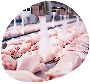 Logiciel viandes et produits carnés : atelier de volaille