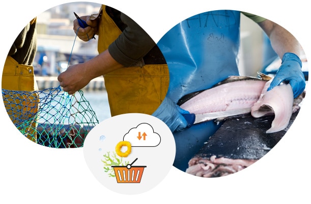 agro-pdm-metiers Le logiciel Produits de la mer, Konnect’Agro accompagne les professionnels