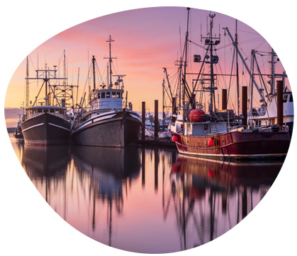 agro-pdm-taille-entreprises Bateaux de pêche au port