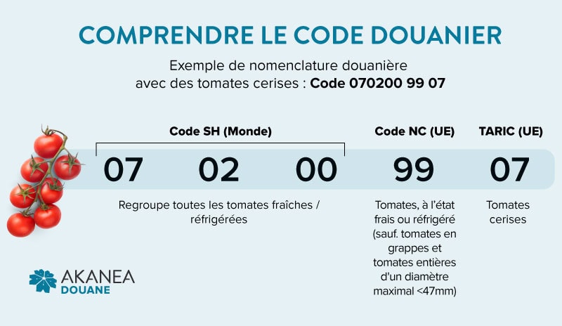 code-douane-nomenclature-SH-HS-NC-TARIC Tarif douanier : Structure et nomenclature du code douanier : HS Code, NC, TARIC