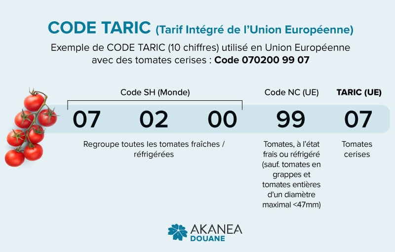 code-taric-douane-UE Code TARIC DOUANE pour l'Union Européenne