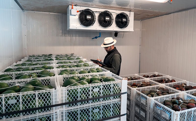 Gestion logistique des importateurs de fruits et légumes avec le logiciel Konnect’Agro