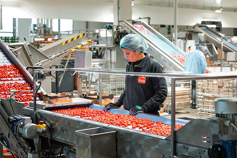 Gestion du process de tri et conditionnement de SOLARENN avec le logiciel fruits et légumes FRULOG.