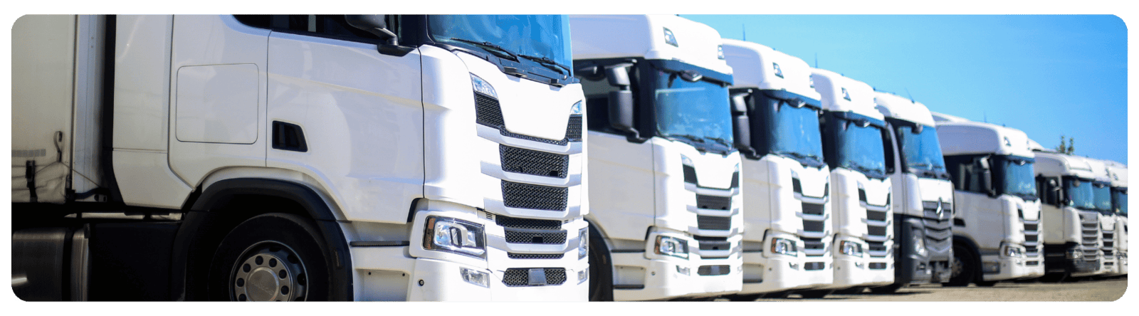 Illustration marquis transport